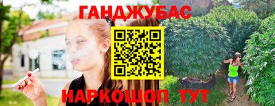 гидра Анжеро-Судженск